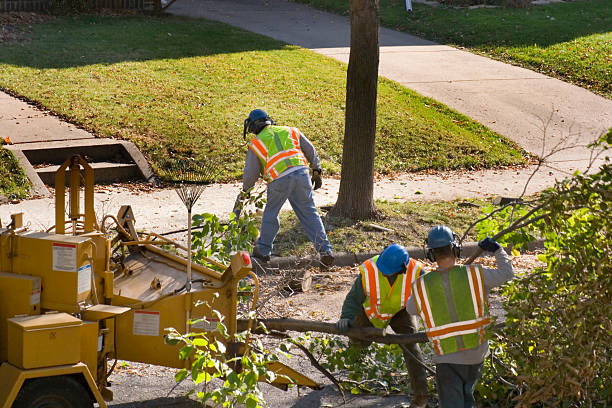 Best Soil Testing and Treatment  in Totowa, NJ
